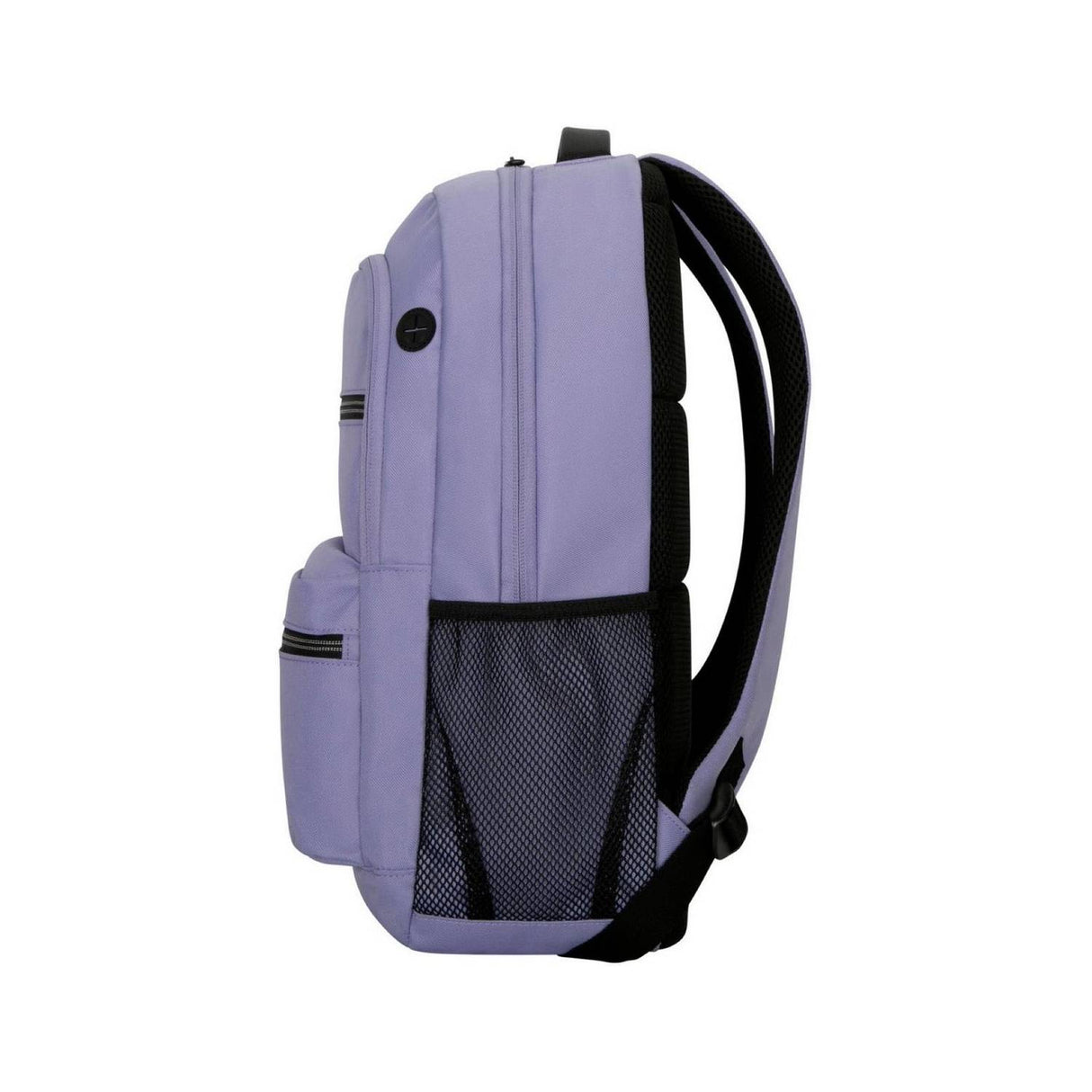 Mochila Targus - Octave II Backpack for 15.6” Laptops - Purple, modelo , maletin